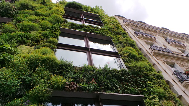 Czym charakteryzują się ekologiczne hotele?